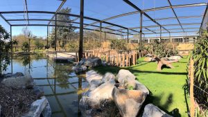 Un jardin asiatique dans le zoo du Parc de la Tête d'Or de Lyon avec une grande structure métallique, beaucoup de végétal, un plan d'eau et des agrès pour animaux