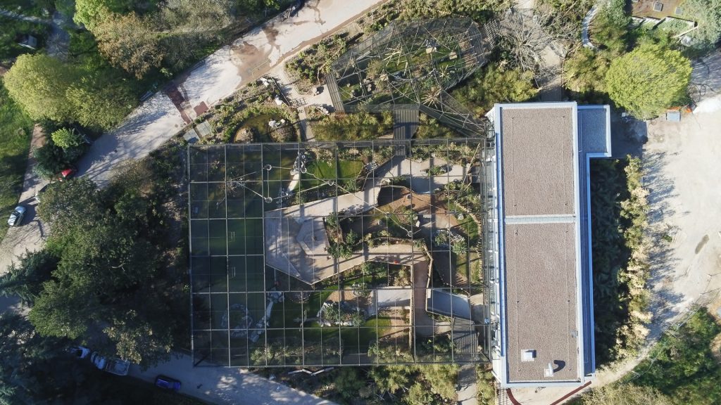 Vue aérienne d'un jardin asiatique dans le zoo du Parc de la Tête d'Or de Lyon avec une grande structure métallique, beaucoup de végétal, un plan d'eau et des agrès pour animaux