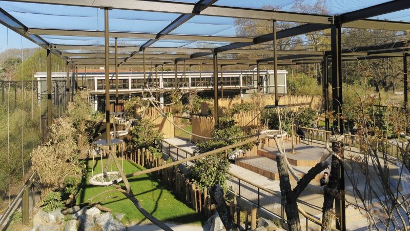 Un jardin asiatique dans le zoo du Parc de la Tête d'Or de Lyon avec une grande structure métallique, beaucoup de végétal, un plan d'eau et des agrès pour animaux