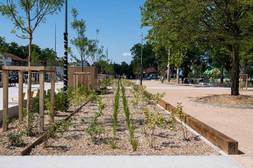 Revêtements de sols clairs, arbres, bordures en bois et massif planté sur la place Ennemond Romand à Vénissieux