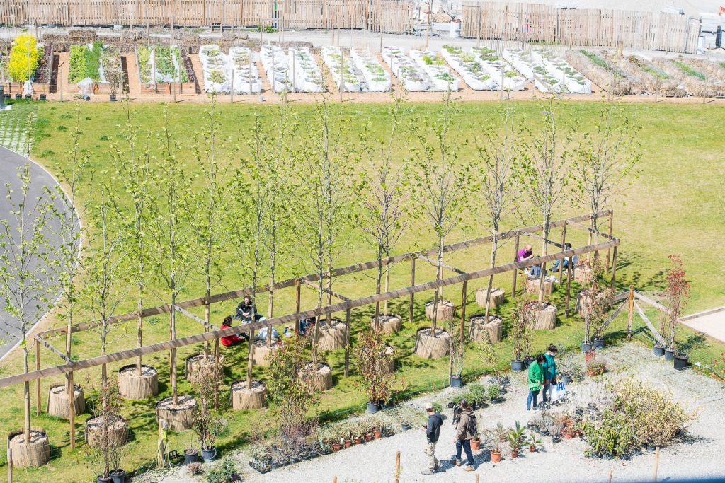 Des plantations hors-sol dans un parc dans la ZAC des Girondins à Lyon