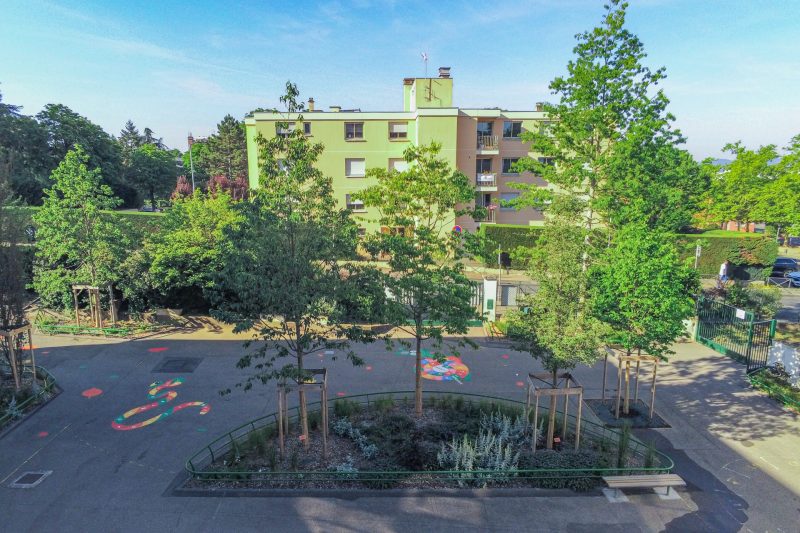 Une cour d'école avec des arbres, des jeux, des marquages au sol et du gazon synthétique