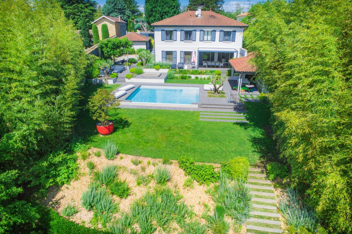 Du gazon, des bambous, des arbres, des oliviers majestueux et des massifs plantés et fleuris dans un jardin de particulier à Lyon