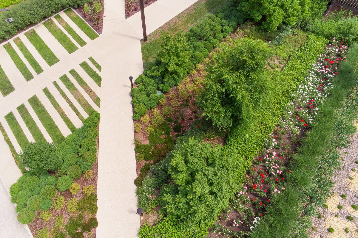 Vue aérienne d'un jardin doté de cheminements clairs, des arbres, des massifs fleuris avec des graminées et des buis au siège social de SBM à Écully