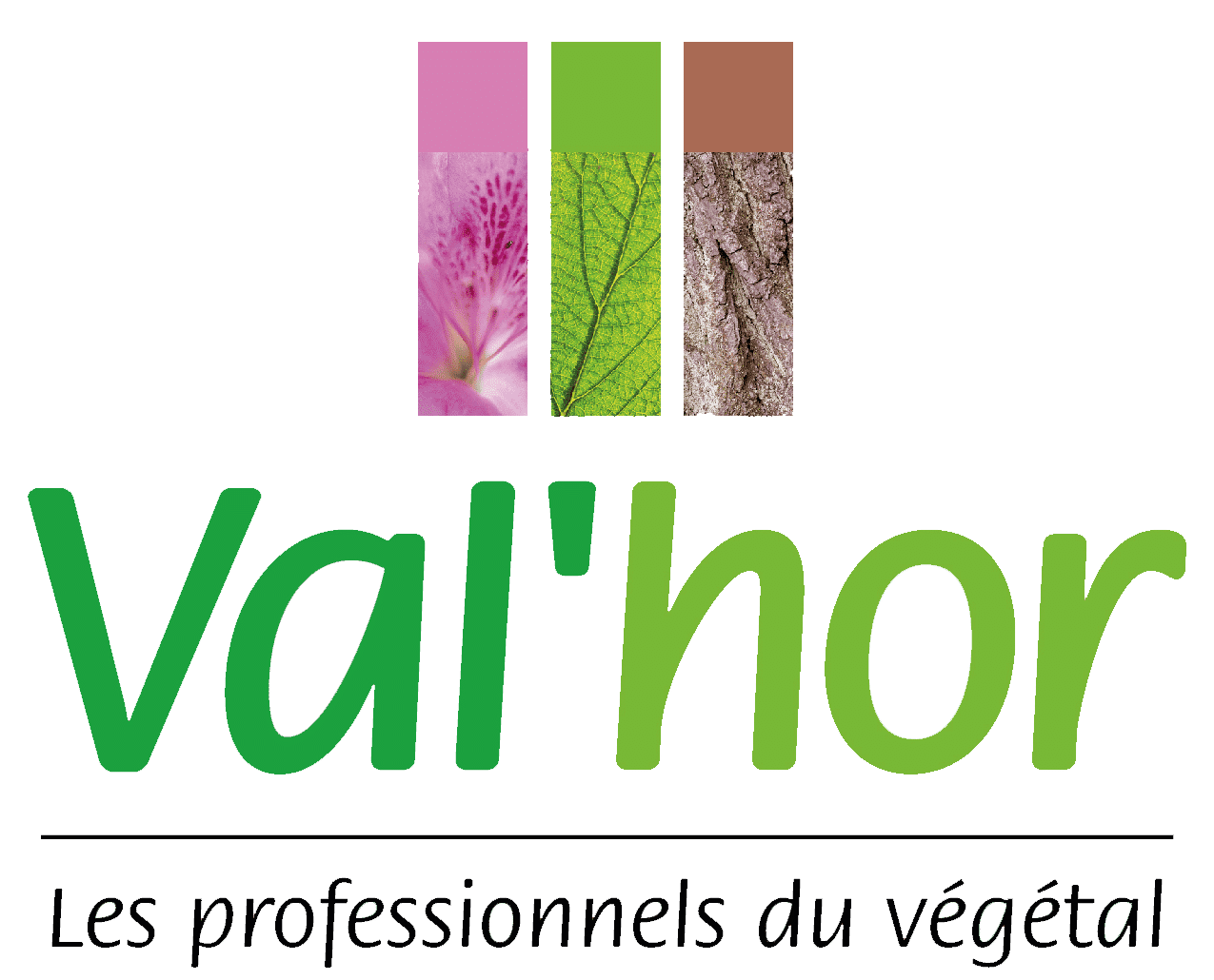 Logo de l'association Val'hor