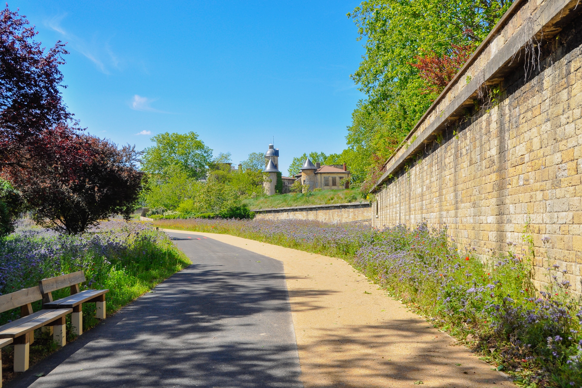 Prairies fleuries, bancs et revêtements de sol dans le parc Sergent Blandan à Lyon