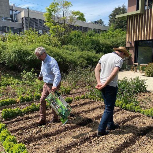 La Canopée, siège social de l'entreprise SBM Company : deux jardiniers préparent le sol pour des plantations