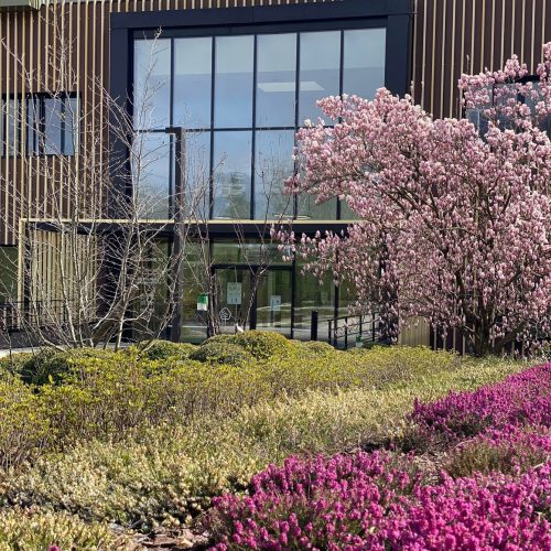 La Canopée, siège social de l'entreprise SBM Company, et son magnifique jardin : buis, fleurs, arbres...