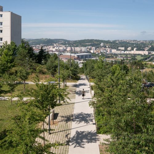 Aménagement paysager du Forum, quartier Montreynaud à Saint-Etienne : pavés joints engazonnés, arbres, mobilier urbain...