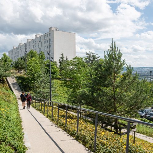 Aménagement paysager du Forum, quartier Montreynaud à Saint-Etienne : pavés joints engazonnés, arbres, mobilier urbain...
