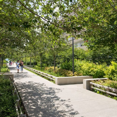 Aménagement paysager du Forum, quartier Montreynaud à Saint-Etienne : pavés joints engazonnés, arbres, mobilier urbain...