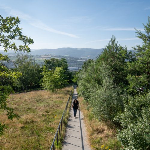 Aménagement paysager du Forum, quartier Montreynaud à Saint-Etienne : pavés joints engazonnés, arbres, mobilier urbain...